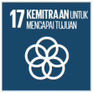 SDG 17